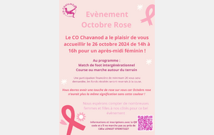 OCTOBRE ROSE - Samedi 26/10/24