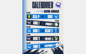 Calendrier matchs amicaux
